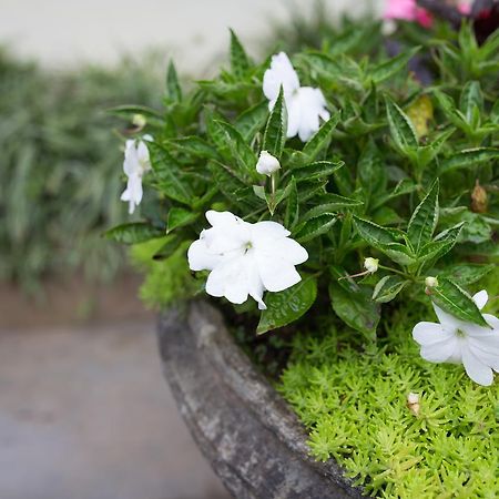 Charming Sapa Hotel Exterior foto