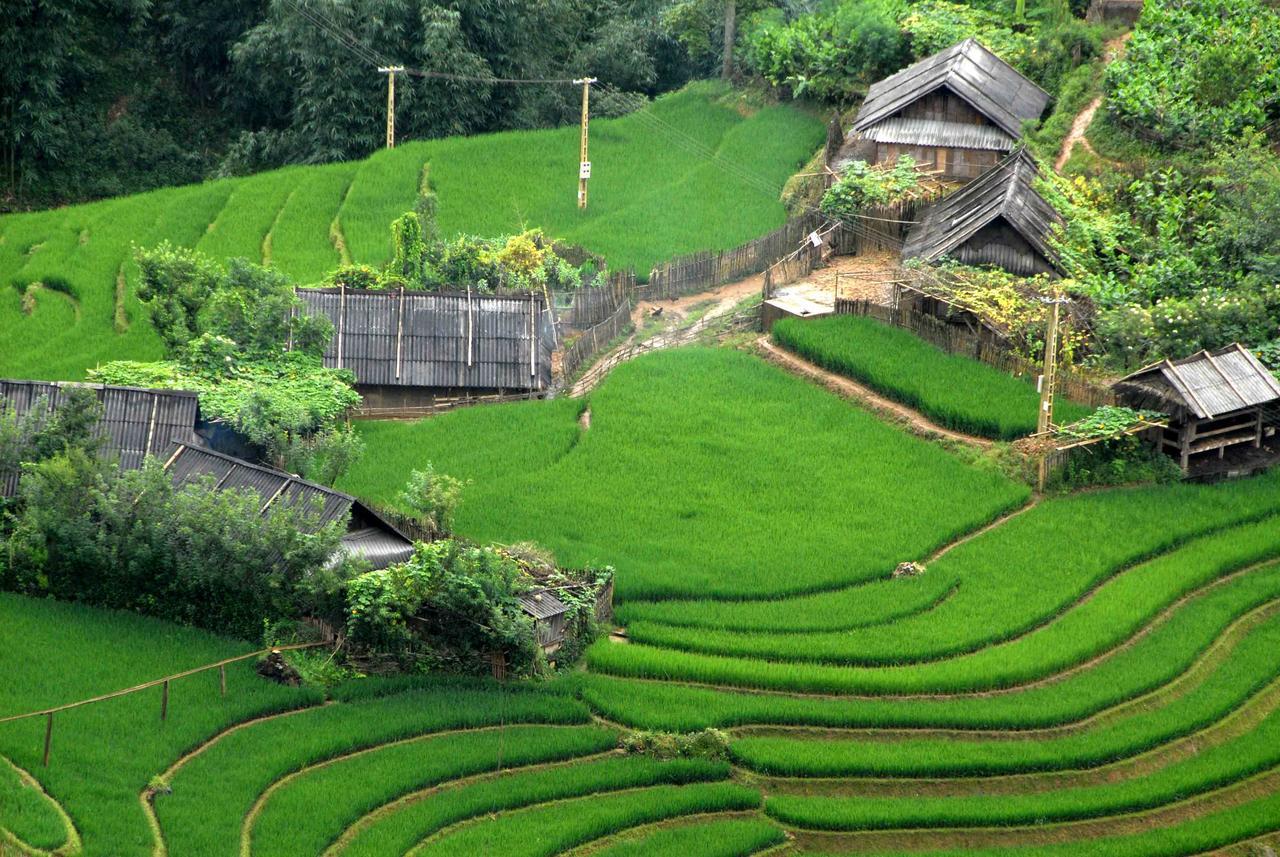 Charming Sapa Hotel Exterior foto